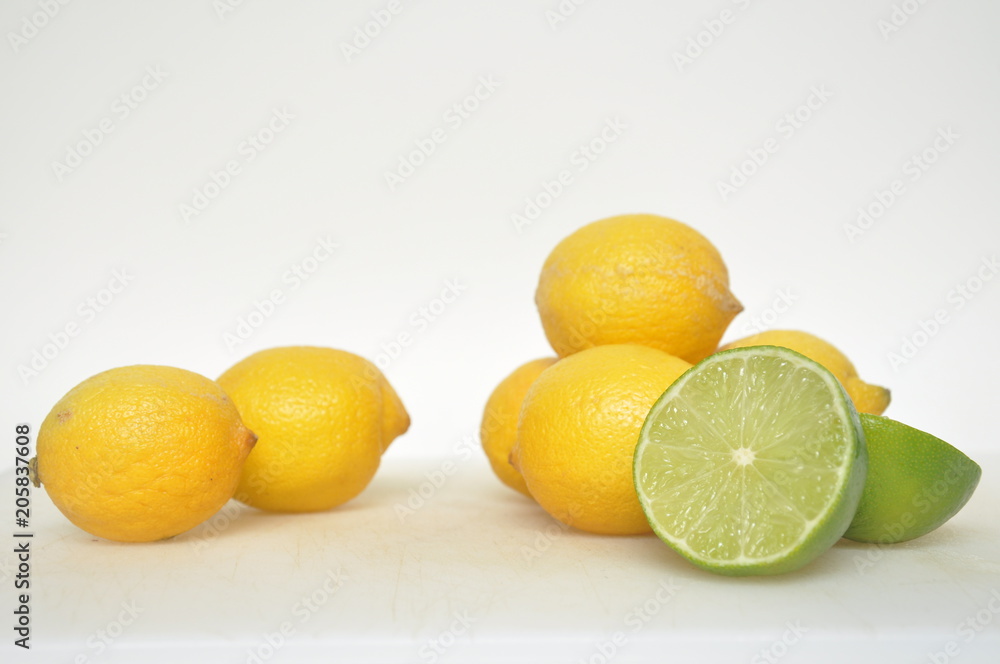 citrus citrus