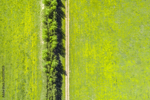 Aerial view of a country road on a green field