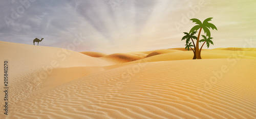 compositing in egypt desert and palm