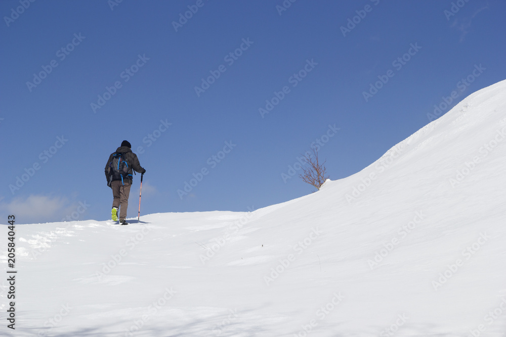 hikers walking in the snow in mountain