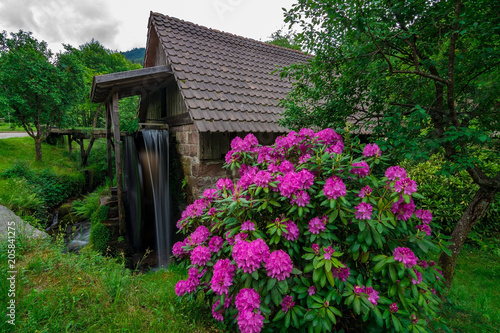 A small water mill in Germany, Schwarzwald / Black Forest, May 2018