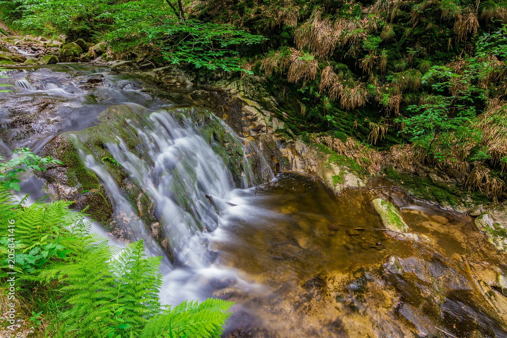A natural waterfall in Black Forest / Schwarzwald, Germany A natural waterfall in Black Forest / Schwarzwald, Germany