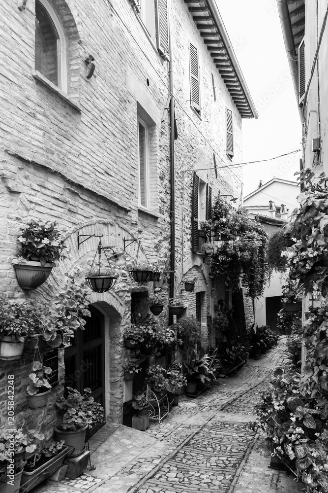 A view of an alley decorated by many flowers in Spello, Umbria
