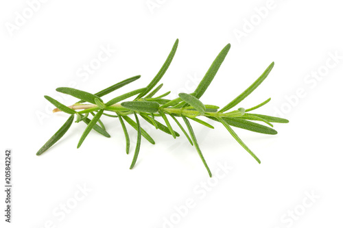 Fresh raw Rosemary isolated on a white background
