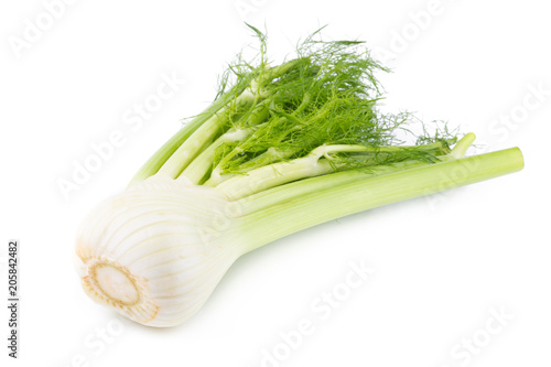 Fresh organic fennel isolated on a white background