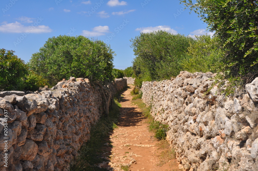 Wanderweg auf Menorca mit typischen Steinmauern