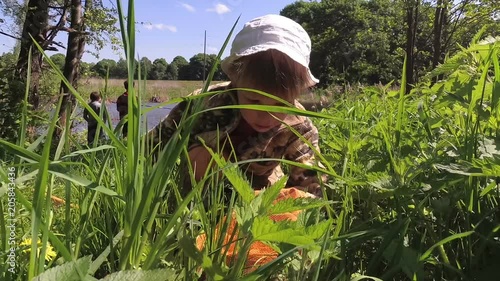 boy catches butterflies with a net in the meadow.