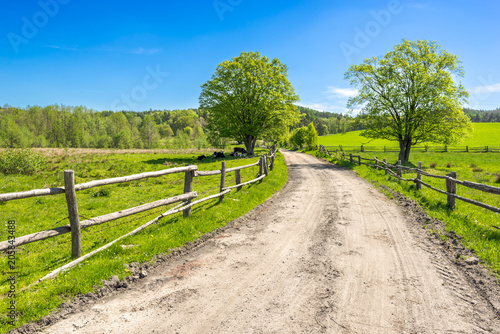 Green farm landscape, field and grass under blue sky in rural scenery with country road