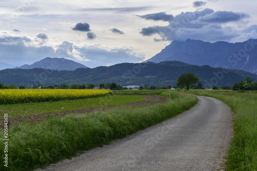 Rural landscape with green and rapeseed fields, asphalt road and cloudy mountains on the background