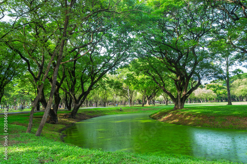 Beautiful park in Thailand