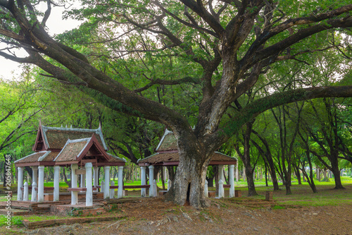 Sukhothai historical park in Thailand © rbk365