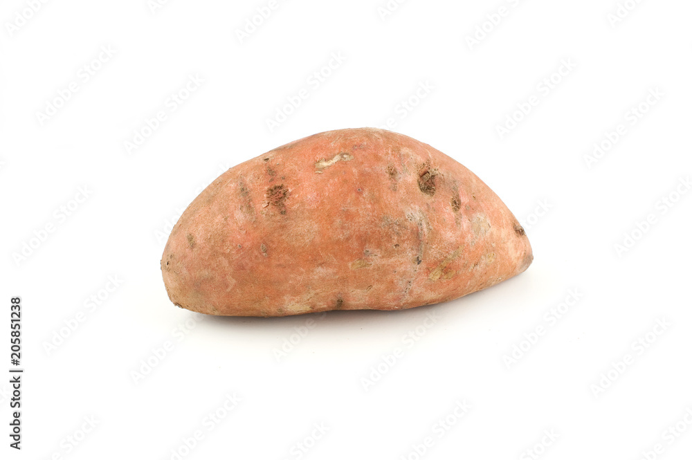 Single sweet potato isolated on white background Single sweet potato isolated on white background