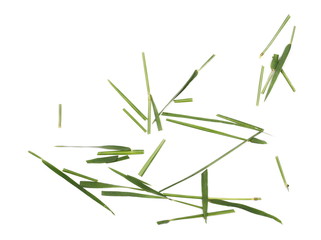 Green cut wild grass isolated on white background and texture, top view