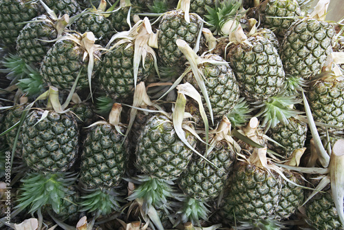 pile of green pineapple