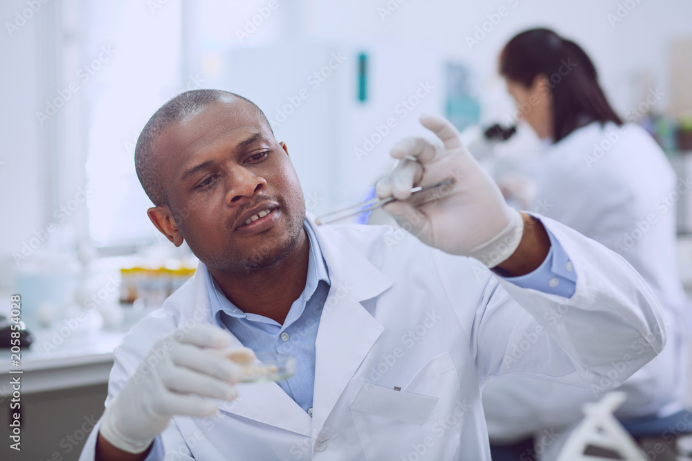 New important tests. Brilliant professional biologist taking a test with seeds while working in the lab New important tests. Brilliant professional biologist taking a test with seeds while working in the lab