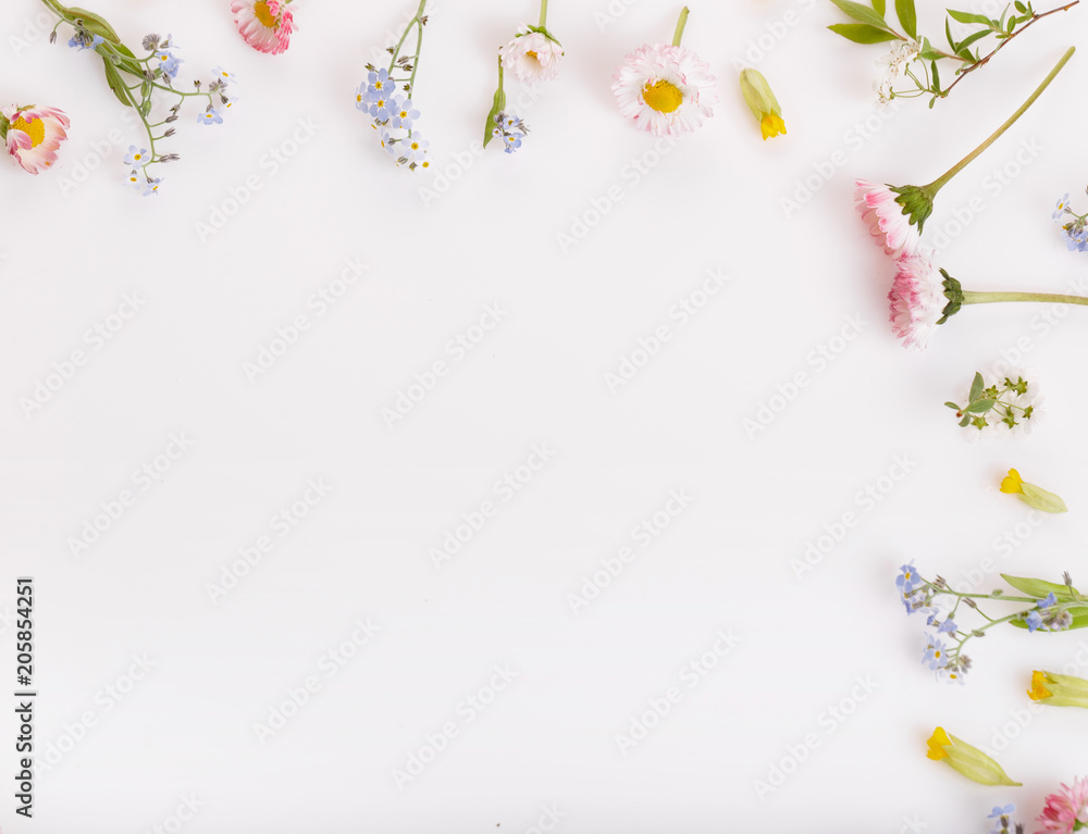 Obraz premium Festive Pink flowers daisies, forget-me-nots frame, composition on white background. Overhead top view, flat lay. Copy space. Birthday, Mother's, Valentines, Women's, Wedding Day concept
