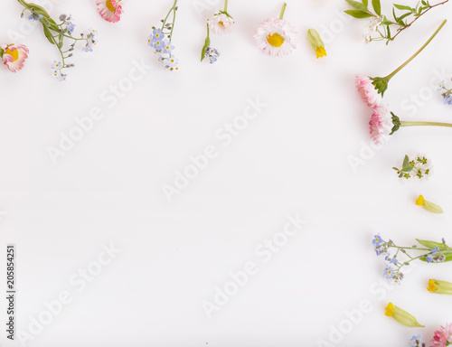 Festive Pink flowers daisies, forget-me-nots frame, composition on white background. Overhead top view, flat lay. Copy space. Birthday, Mother's, Valentines, Women's, Wedding Day concept