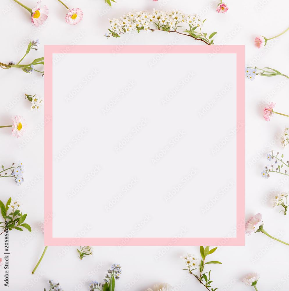 Festive Pink flowers frame, composition on white background. Overhead top view, flat lay, square. Copy space. Birthday, Mother's, Valentines, Women's, Wedding Day concept