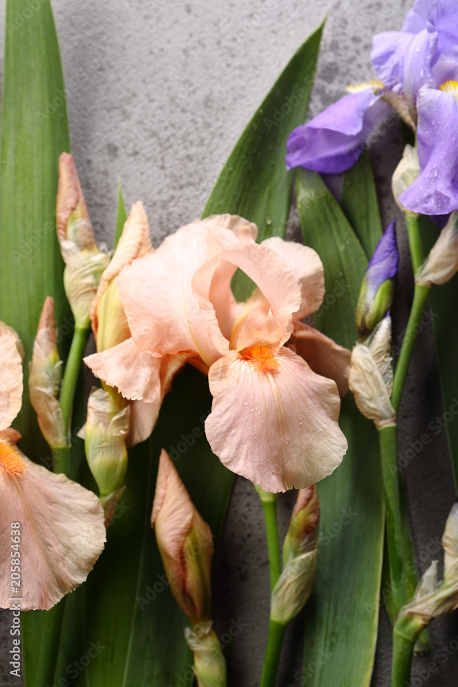 Pink iris flowers top view Pink iris flowers top view