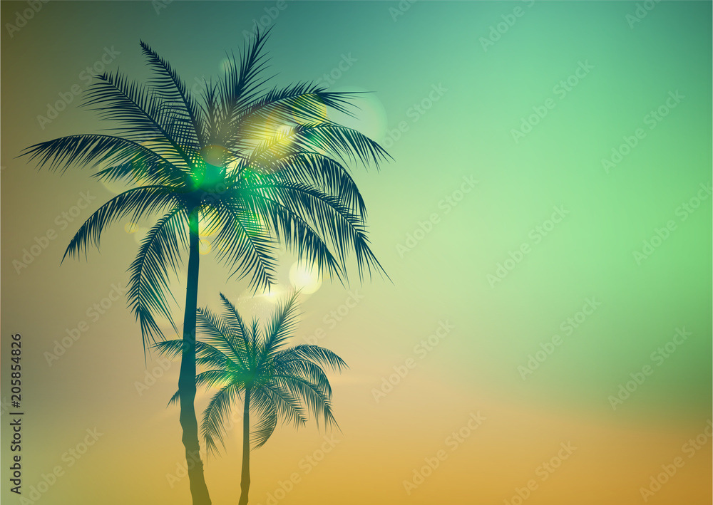 Palm Trees Background.Toned palm trees. Palm background. Vector illustration.EPS10 Palm Trees Background.Toned palm trees. Palm background. Vector illustration.EPS10