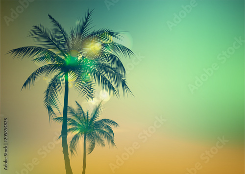 Palm Trees Background.Toned palm trees. Palm background. Vector illustration.EPS10