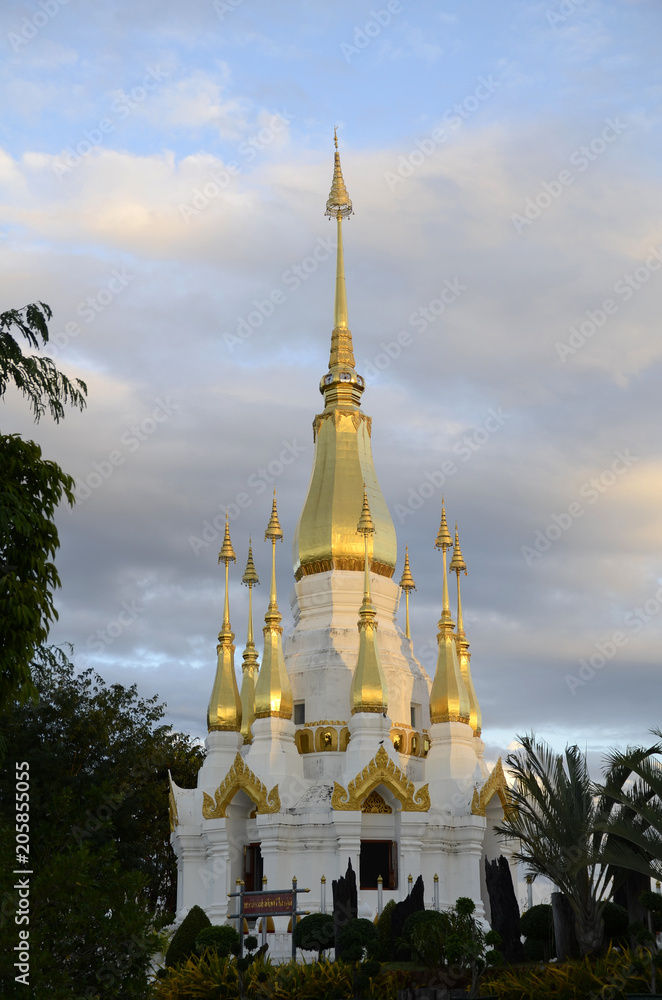 Naklejka premium wunderschöne buddhistische Tempel und Buddhas in Südostasien