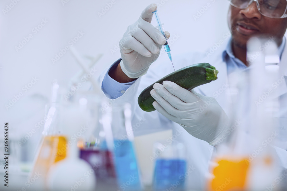 Perfect taste. Serious skilled biologist wearing a uniform and testing a marrow squash Perfect taste. Serious skilled biologist wearing a uniform and testing a marrow squash