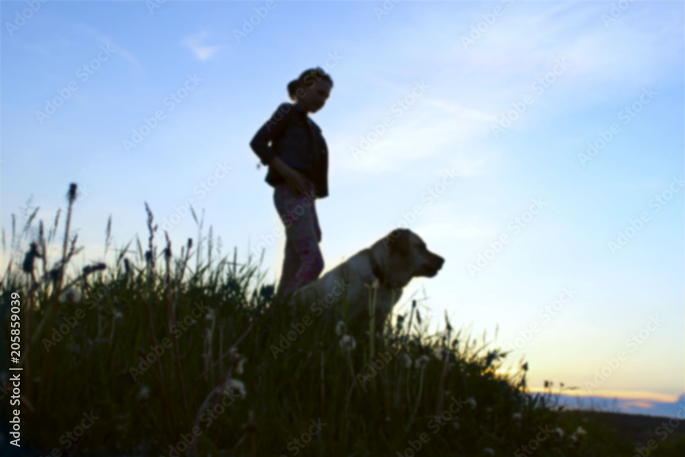 Fototapeta premium Silhouettes Of A Teenage Girl Walking With Her Pet On Sunset Background. Silhouettes Of A Girl And Dog, Outdoors. Blurred Shot Of A dog And Owner.