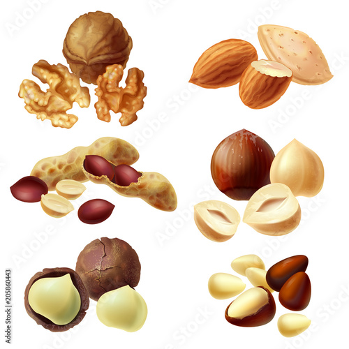 Vector 3d realistic set of various nuts, hazelnut, macadamia, peanut, almond, walnut, pine nuts, whole kernels and halves, cracked and peeled. Healthy organic diet product for vegans, vegetarians