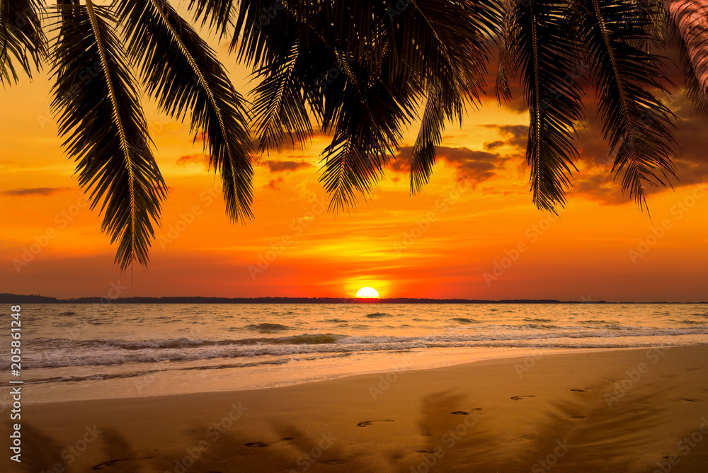 Beautiful sunset over the sea with coconut tree at summer time