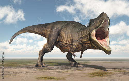 Tyrannosaurus Rex © Michael Rosskothen