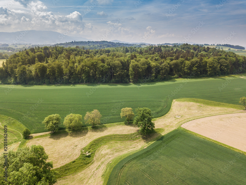 Aerial view of forest in rural landscape in Switzerland on a warm summer day