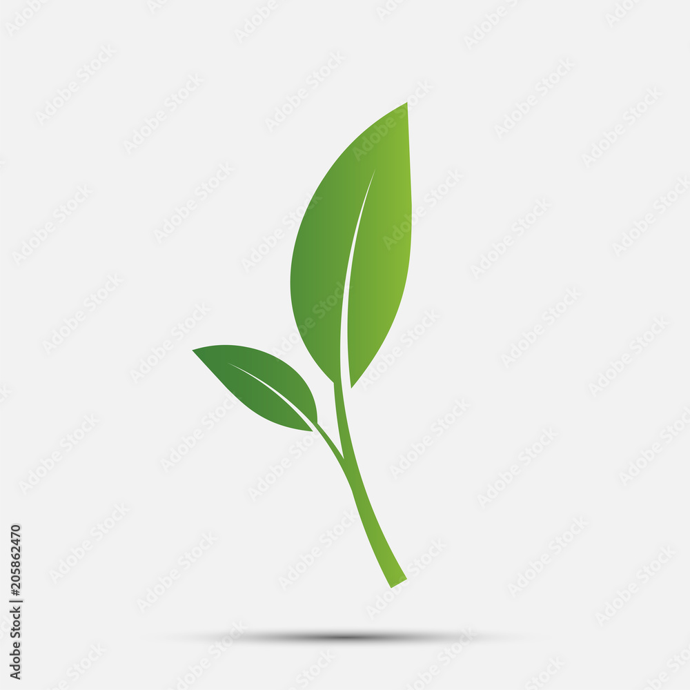 Green leaf logo,ecology nature.Vector illustration. Green leaf logo,ecology nature.Vector illustration.