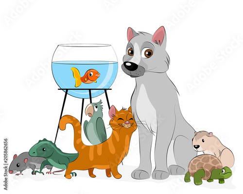 Group of pets
