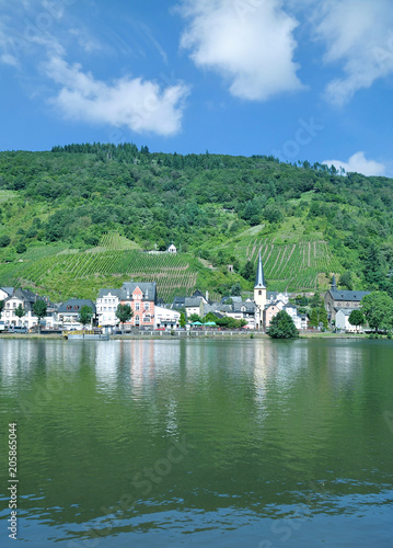 Weinort Alf an der Mosel Rheinland-Pfalz Deutschland