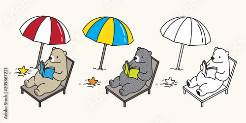 bear vector polar bear beach reading holiday illustration character cartoon doodle