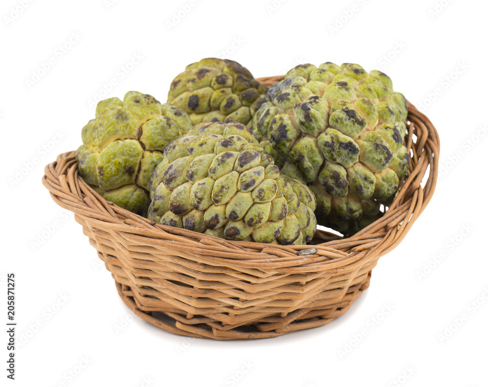 Sweet And Healthy Fruit Custard Apple Also Know as Sitafal, Sweetsop, Annona Squamosa, Sugar Apple, Sitaphal or Anona in Basket isolated on White Background Sweet And Healthy Fruit Custard Apple Also Know as Sitafal, Sweetsop, Annona Squamosa, Sugar Apple, Sitaphal or Anona in Basket isolated on White Background
