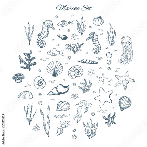Hand drawn vector marine set with seahorses, shells, stars, seaweed, fish, coral and bubbles. Sea creatures outline on the white background.