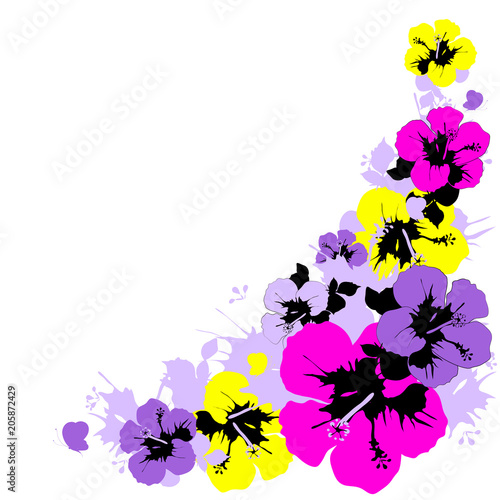 beautiful violet flowers ,butterflies, on a white © aboard