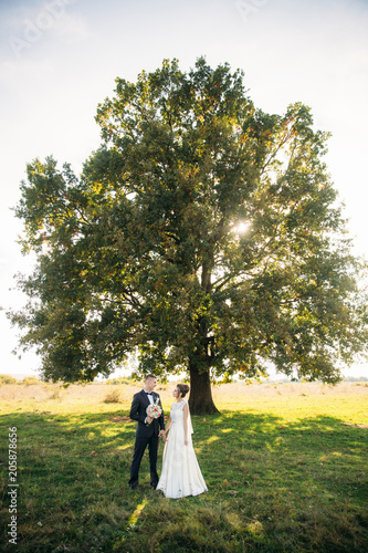 Stylish couple of happy newlyweds walking in field on their wedding day with bouquet. In the middle of the field ther is a big tree © Aleksandr