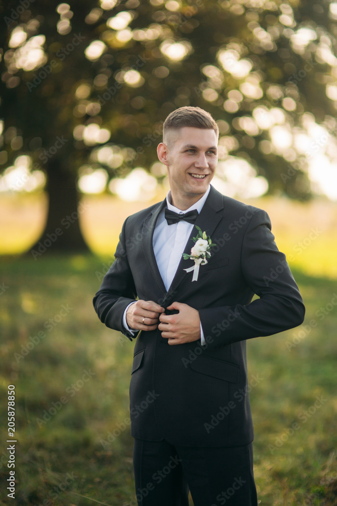 Groom adjusts the bow tie. Handsome man standing in the middle of field in the background of big tree Groom adjusts the bow tie. Handsome man standing in the middle of field in the background of big tree