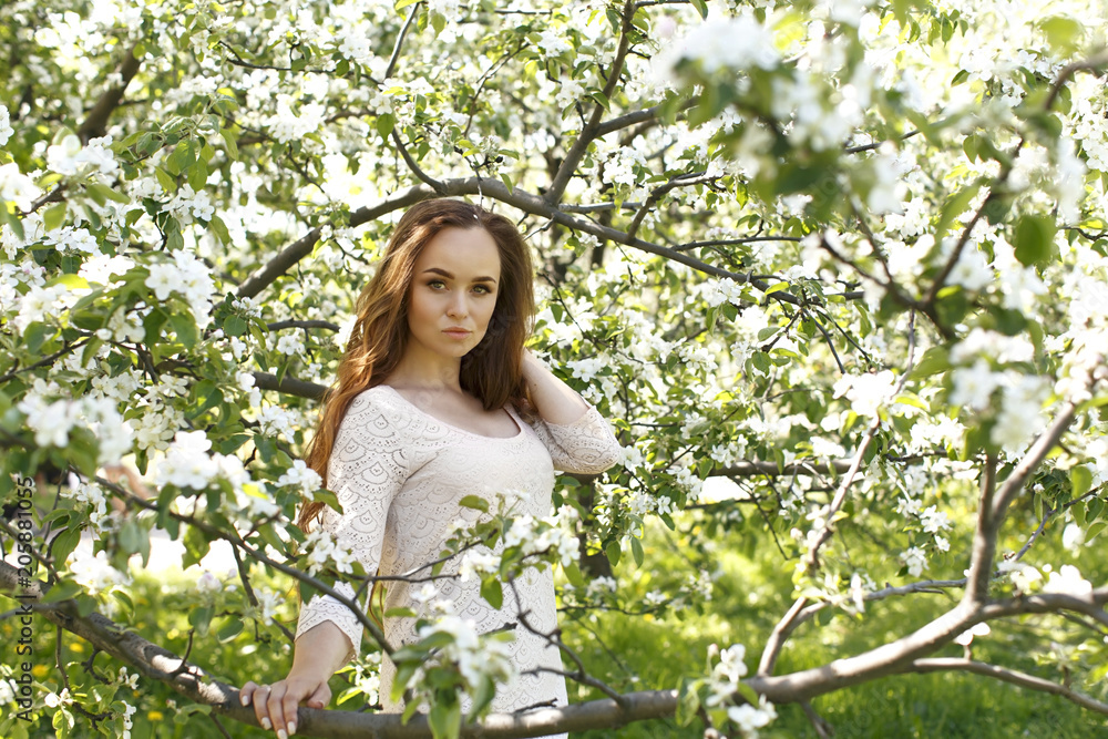 young beautiful girl in white dress and blooming apple tree young beautiful girl in white dress and blooming apple tree