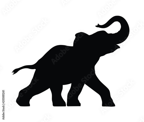 silhouette of a small elephant photo