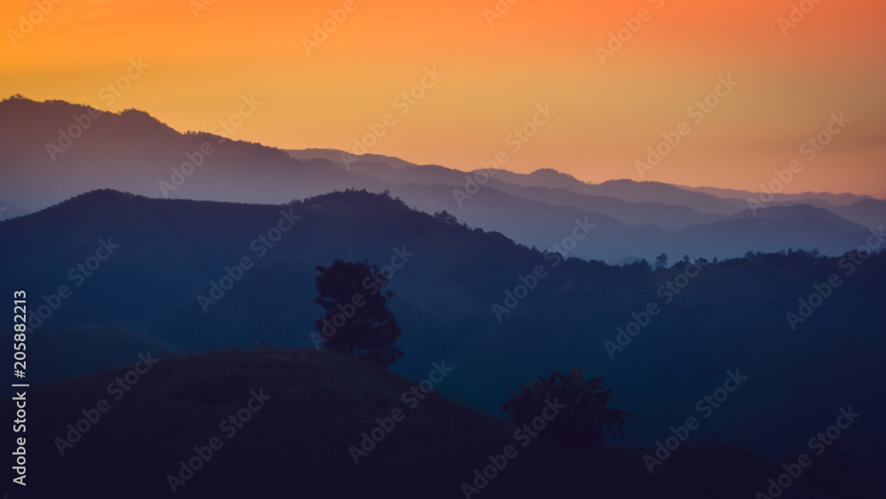 Obraz premium Landscape of forest mountains on sunset
