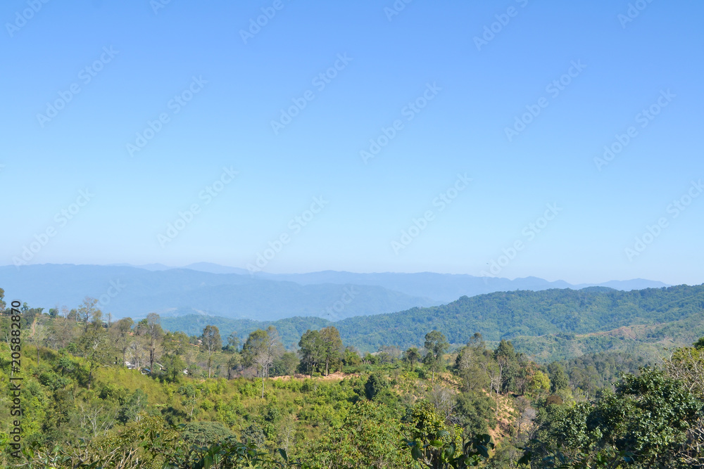 Landscape of forest and mountain with blue sky