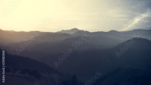 Landscape of forest mountains on sunset