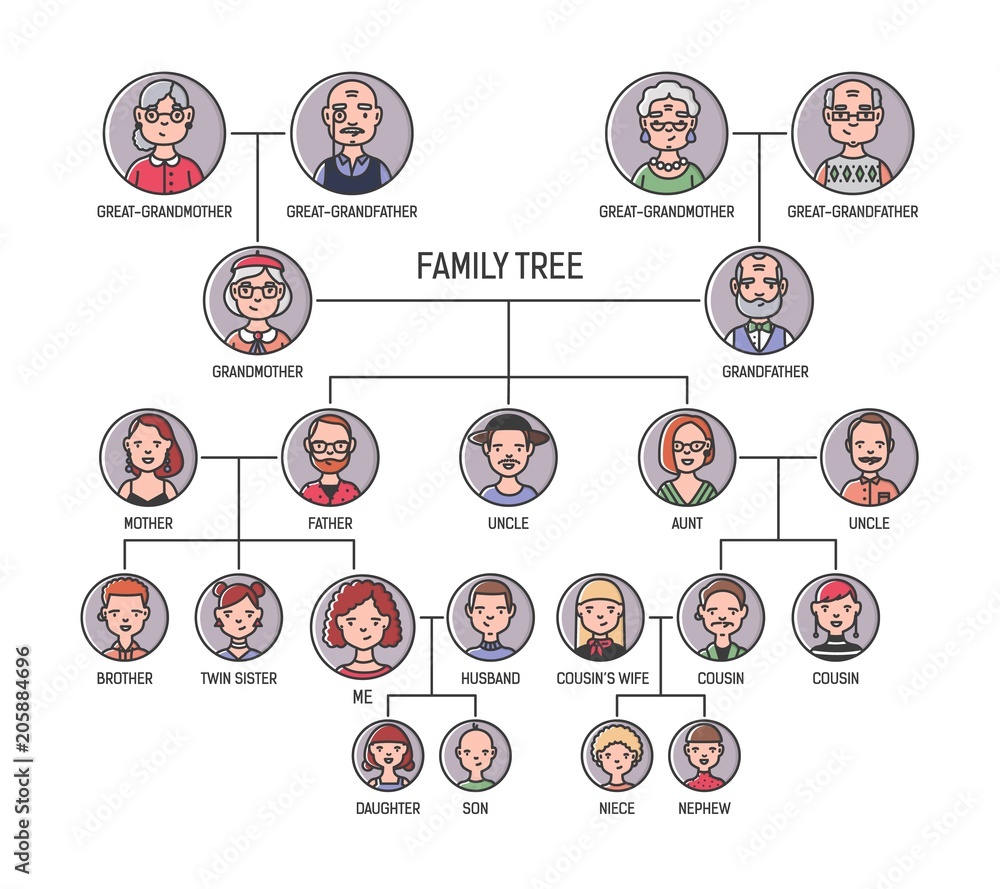 Family tree, pedigree or ancestry chart template. Cute men's and women's  portraits in circular frames connected by lines. Links between relatives.  Colorful vector illustration in lineart style. Stock Vector