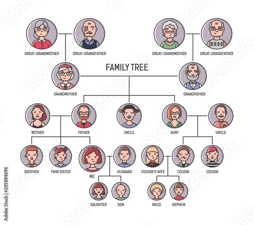 Family tree, pedigree or ancestry chart template. Cute men's and women's portraits in circular frames connected by lines. Links between relatives. Colorful vector illustration in lineart style.