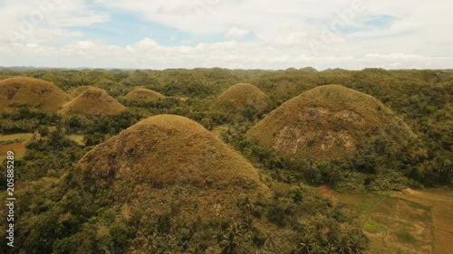 Amazingly shaped Chocolate hills on sunny day on Bohol island  Philippines. Aerial view Chocolate Hills in Bohol  Philippines are earth mounds scattered all over the town of Carmen. Travel concept.
