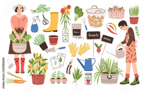 Collection of two female gardeners and gardening tools - watering can, fruit baskets, seeds, pruner, trowel, rubber boots, gloves, seedlings, potted plants. Cartoon vector illustration in flat style.